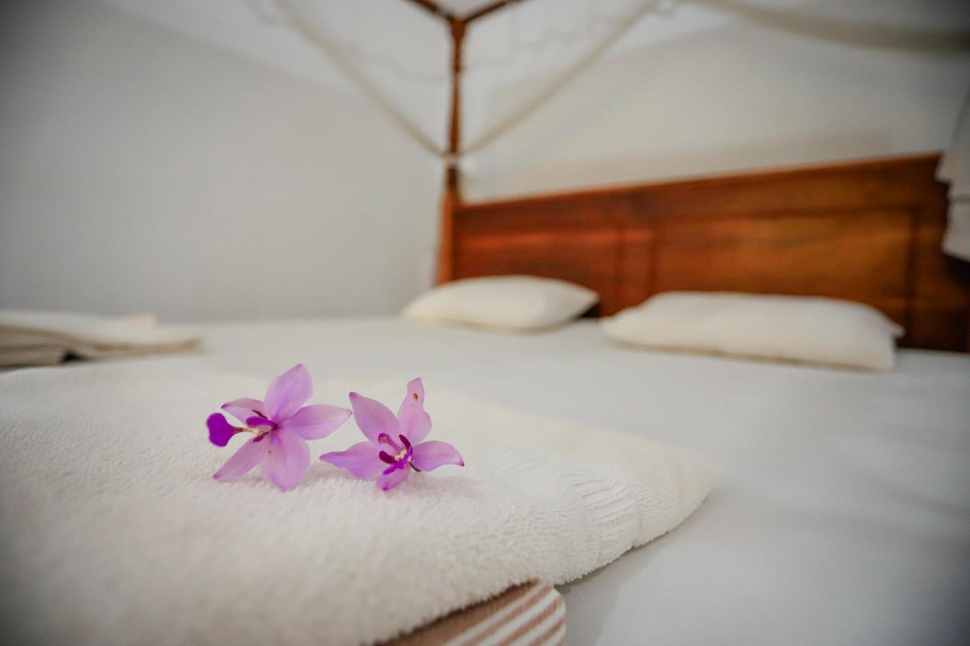 Serene Home Stay Udawalawe Kültér fotó